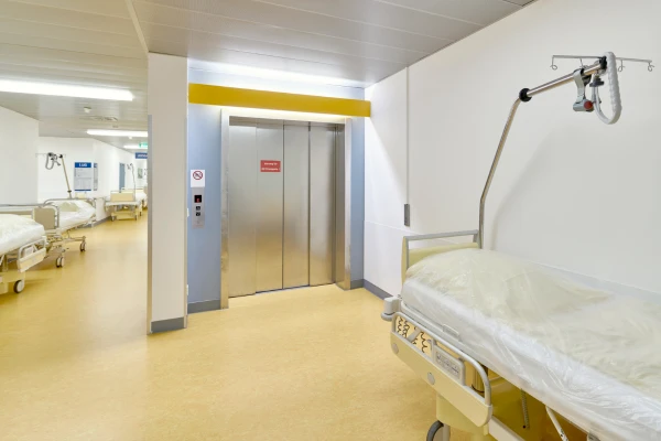 Elevator Door Size Guide: Standard Dimensions and Selection